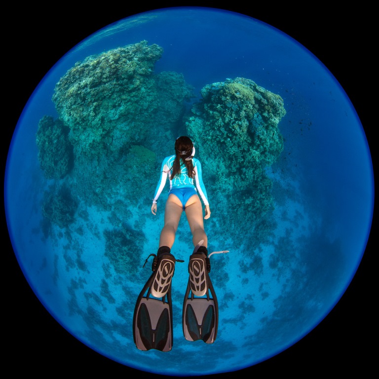 Shooting Underwater with the Nikon 8-15mm FX Fisheye