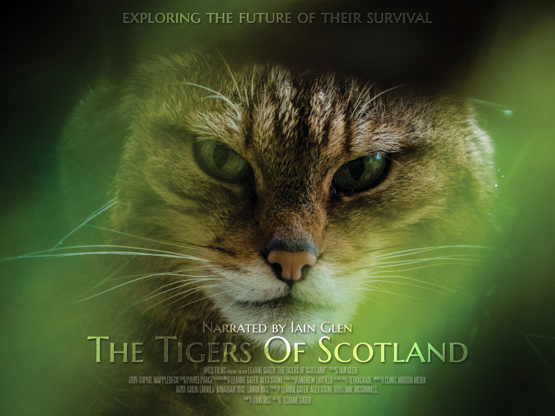 Tigers of Scotland