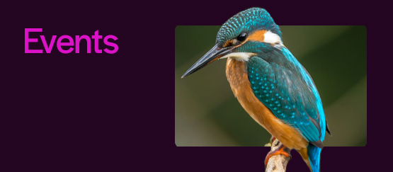 Wex Photo Video Events