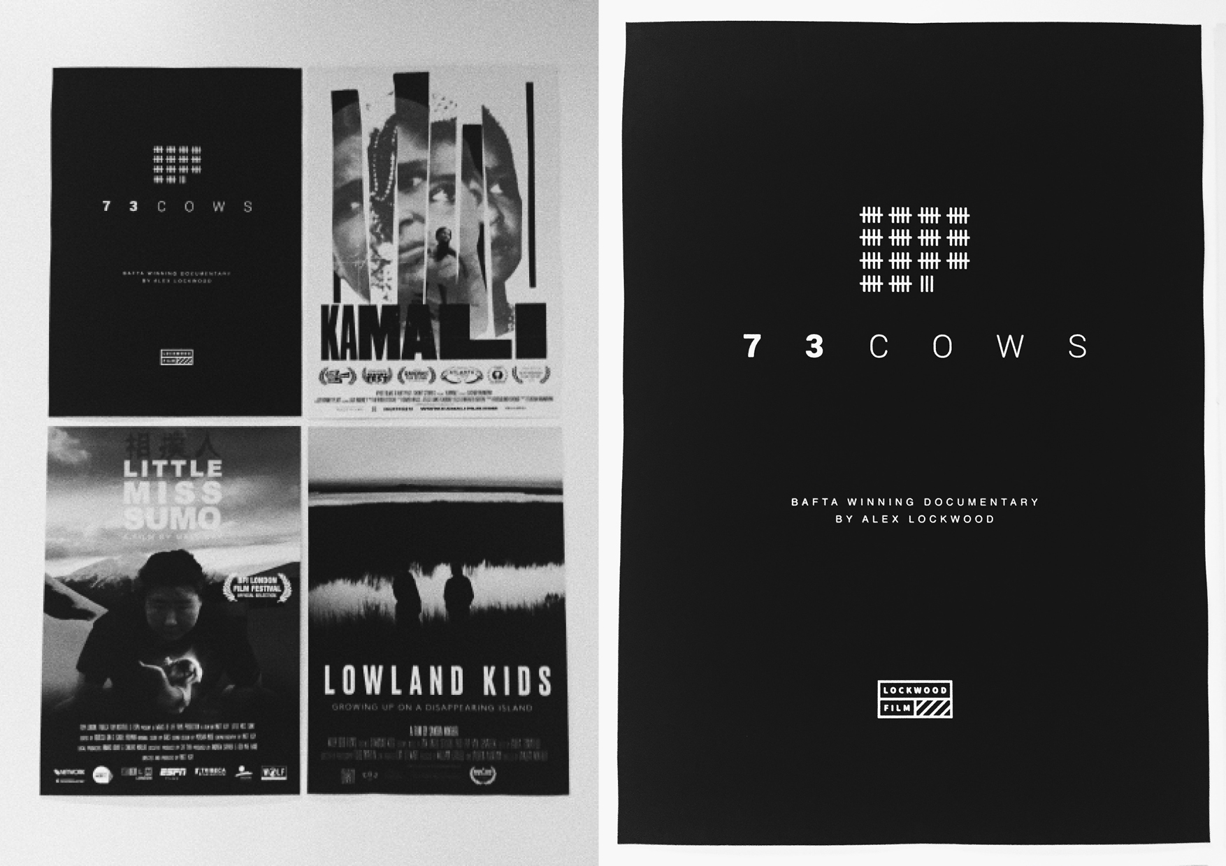 Documentary Posters