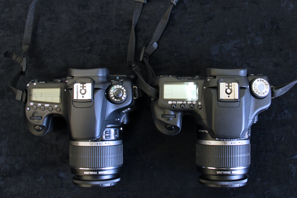 Canon-EOS-60D-and-50D-top.jpg