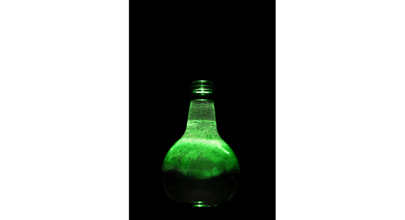 1.-Potion-bottle.jpg