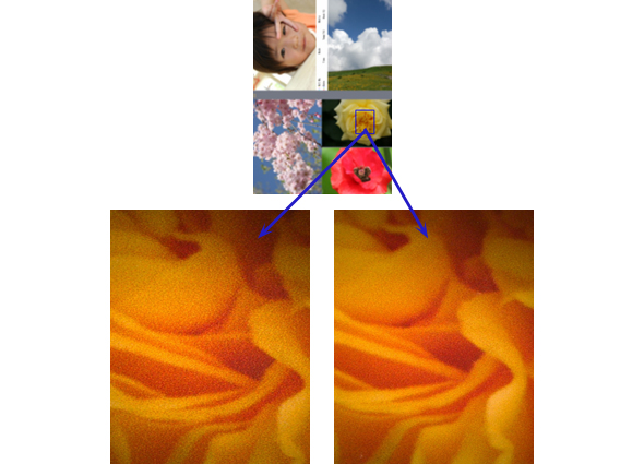 © Wex Photo Video 3.0pl-print-and-2.0pl-print-extreme-close-up-spot-the-difference..jpg