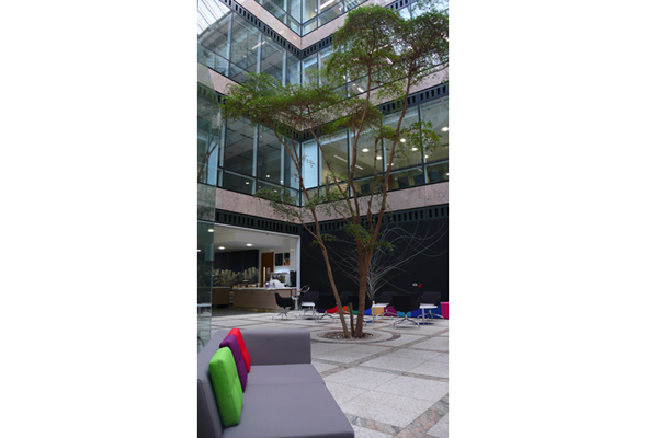 © Wex Photo Video Epson-HQ.jpg