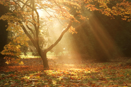 Professional photographer Sarah Howard explains how to capture autumn in its full glory.