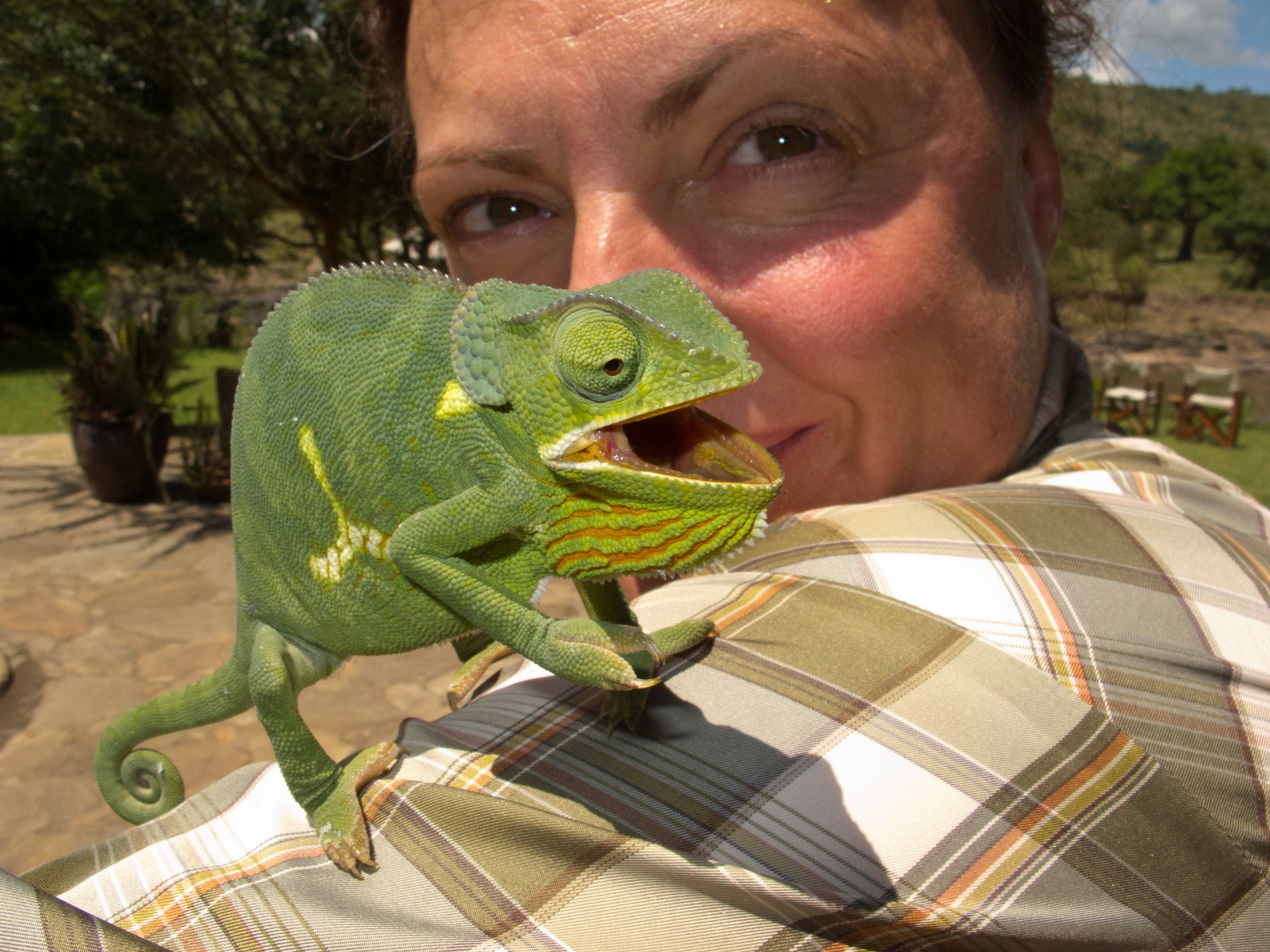 © Wex Photo Video Sue-Flood-with-chameleon-at-KB-camp.jpg