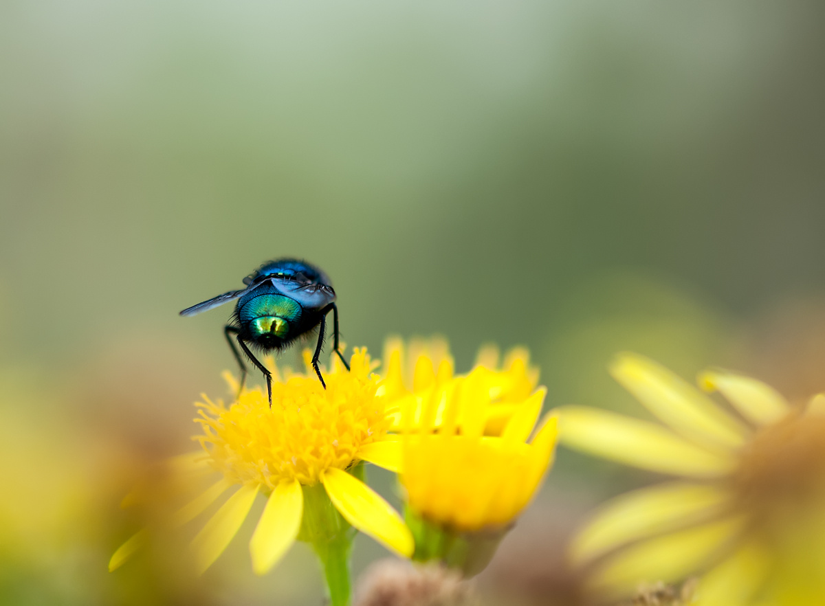 April Photo Challenge Third Place Winner
