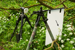 Shooting wild subjects against pure white, backlit backgrounds has many advantages as Scottish professional photographer, Niall Benvie explains…