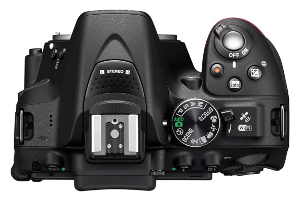 Nikon D5300 top