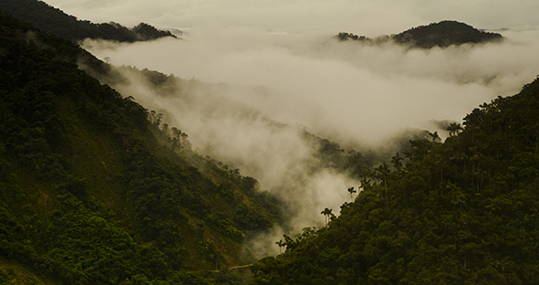 © Wex Photo Video The-view-down-into-the-Cloud-Forest-below-one-of-the-most-impressive-I-have-ever-whitnessed.jpg