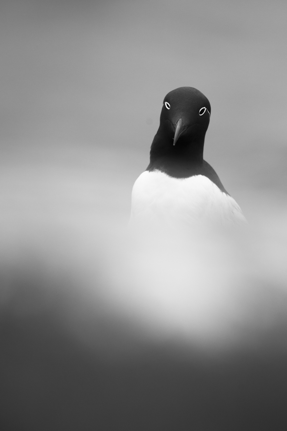 © Wex Photo Video Tom_Mason_June-01-2013-farnes2-_MAC1492.jpg