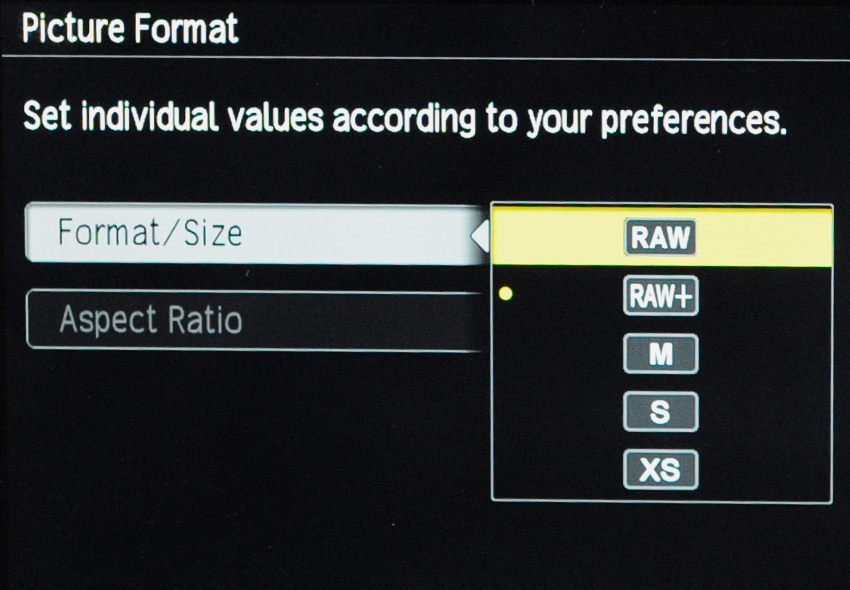 © Wex Photo Video Raw-vs-JPEG.jpg
