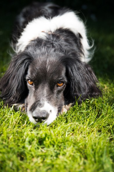 With people or animal shots, it’s a good idea to focus on the eyes as sharpness will be a priority here.
