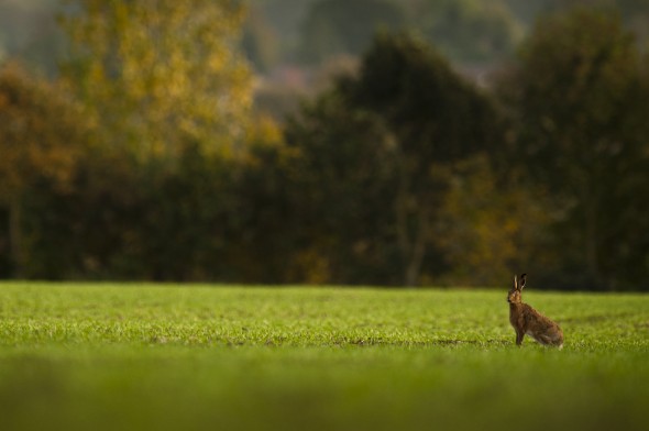 Taking in the Environment and placing your subject in context is a great way to add breadth to your portfolio