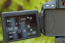 How to Use Your Camera: Part 7 – Understanding Focusing Modes [video]