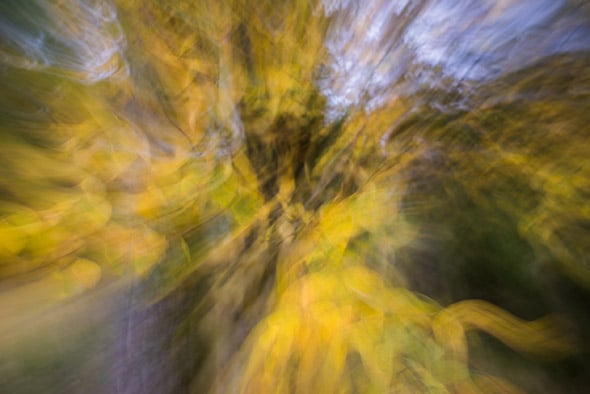 A Guide To Intentional Camera Movement Photography