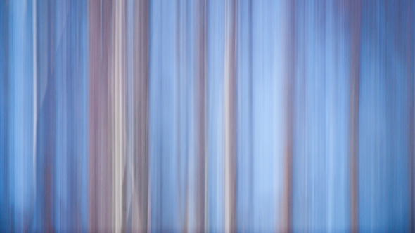 A Guide To Intentional Camera Movement Photography