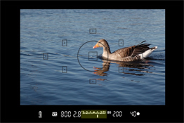 How to Use Your Camera: Part 9 – Understanding Your Viewfinder