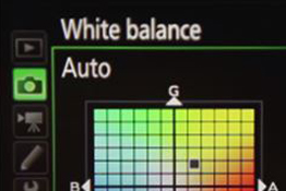 In this video, we show you how to master the white-balance settings in your camera for accurate colour in a range of situations.