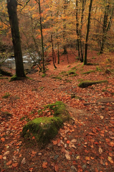 Photographer’s Guide to the Lake District this Autumn