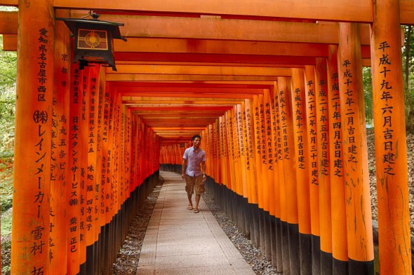 Chasing the Light in Japan
