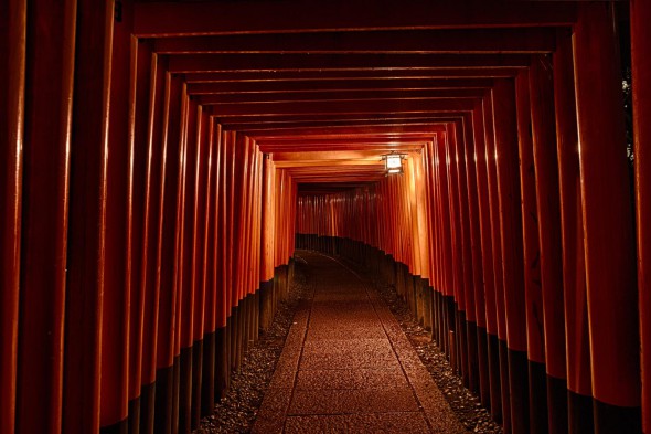 Chasing the Light in Japan
