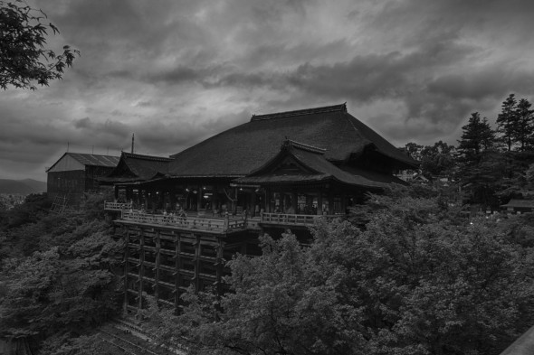 Chasing the Light in Japan
