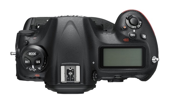 The new Nikon D5 review: what you need to know