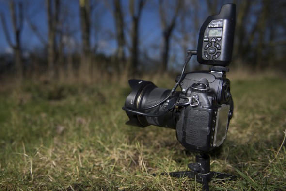 Six Top Accessories for Wildlife Photographers