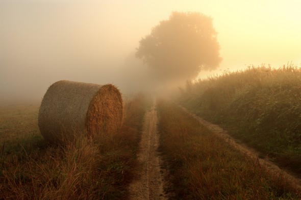 Shooting Landscapes for a Living: Justin Minns