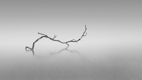 The #WexMondays 2016 Winner Interview