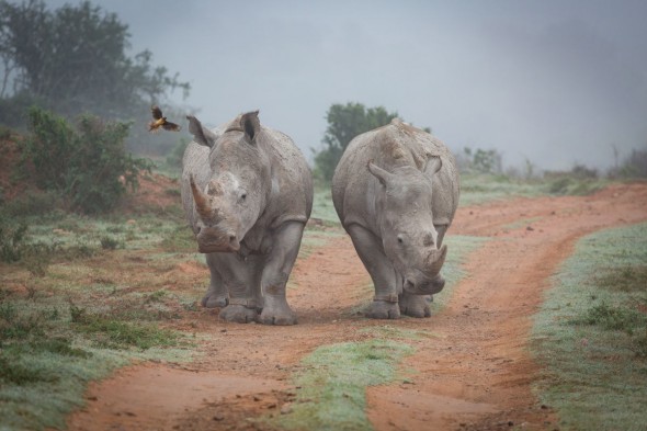 A Winter Escape – A Photographic Guide to South Africa