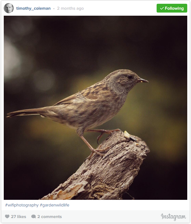 How Wi-Fi can Transform your Wildlife Photography