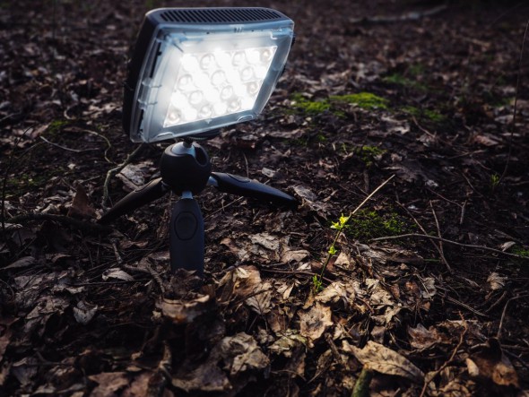 Macro Lighting Secrets – Blending Ambient and Add-in Light Macro Lighting Secrets – Blending Ambient and Add-in Light