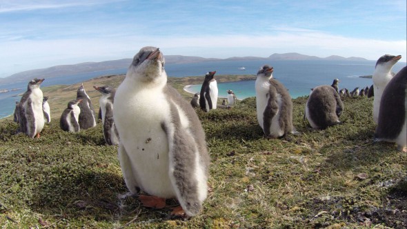 Why Every Camera Bag Needs a GoPro