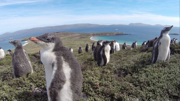 Why Every Camera Bag Needs a GoPro