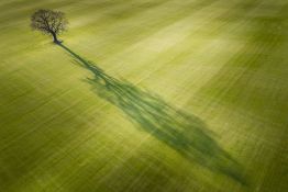 The Latest #WexMondays Shortlist
