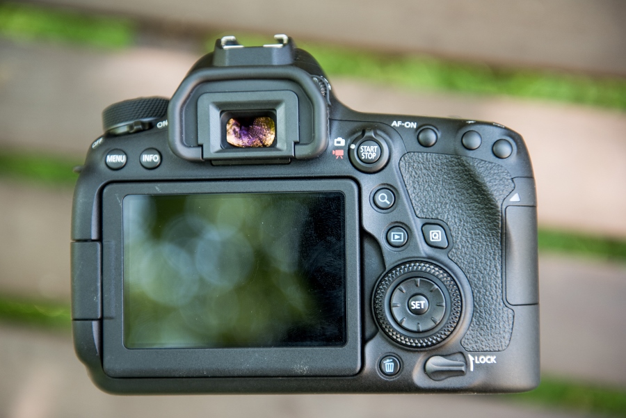 Canon EOS 6D Mark II vs EOS 6D – The Differences You Need to Know