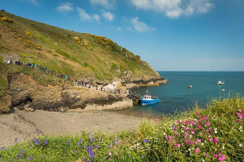 A Skomer Island Adventure