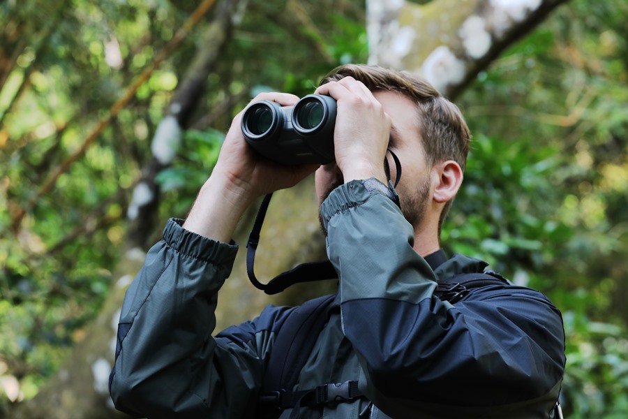 Canon Brings Its Lens-Shift Technology to a Trio of New Binoculars 