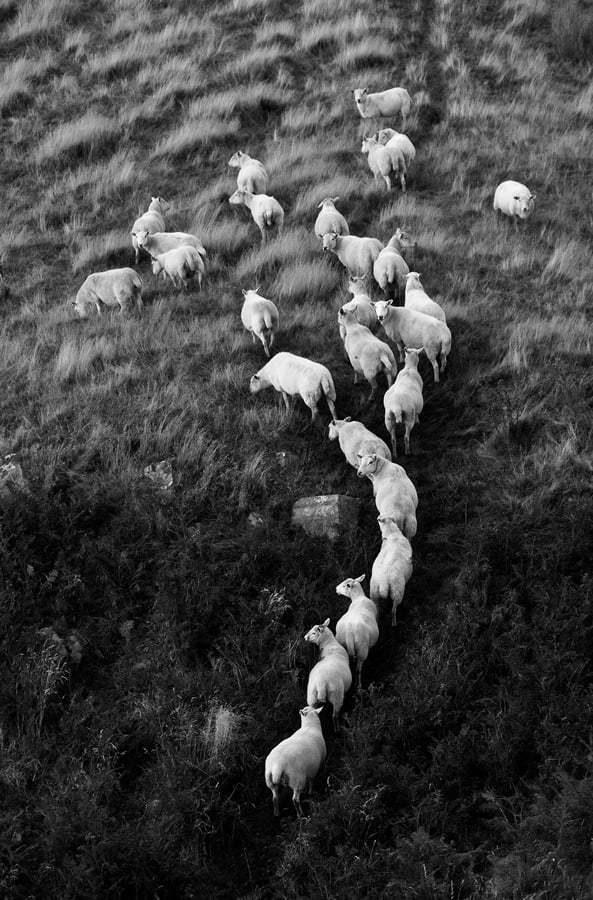 Composition – Keeping Things Simple Composition – Keeping Things Simple