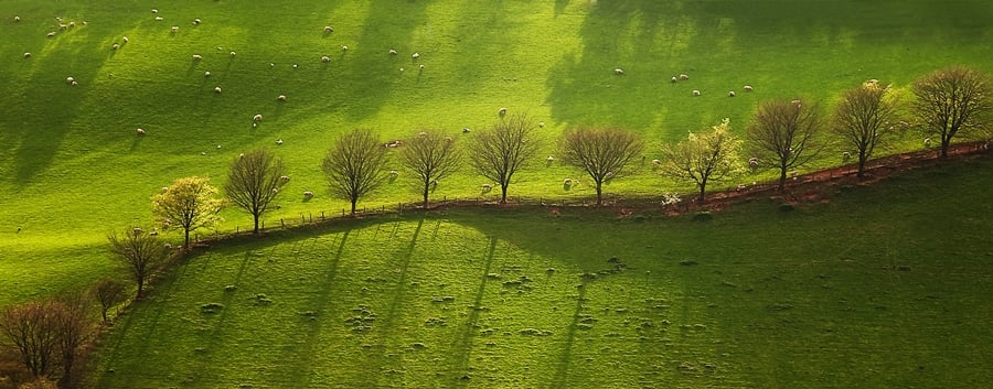 Composition – Keeping It Simple Composition – Keeping It Simple