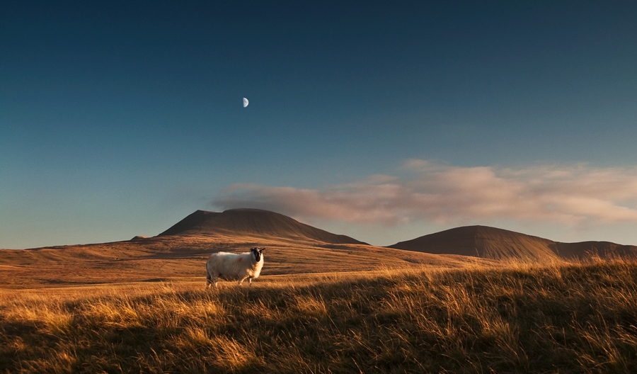 Composition – Keeping It Simple Composition – Keeping It Simple