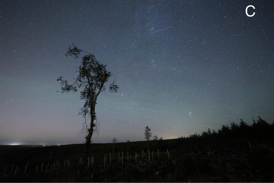 How to Photograph Meteors