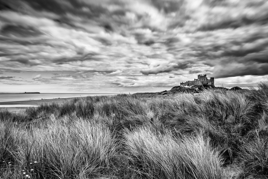 From a daffodil clad Warkworth Castle to puffins on the Farne Islands, Matty Graham shares some of his favourite locations when photographing in Northumberland