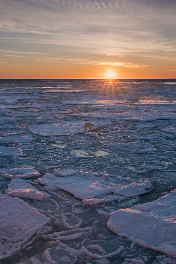 Sony ambassador Ole Salomonsen explains why he never tires of photographing the Aurora Borealis and how you can capture a stunning aurora shot too