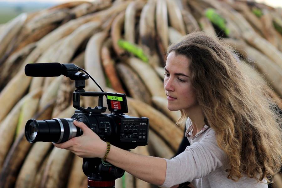 How to Become a Wildlife Filmmaker | 11 Tips