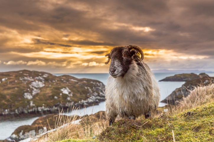 A Photographer’s Guide to the Isles of Lewis and Harris 