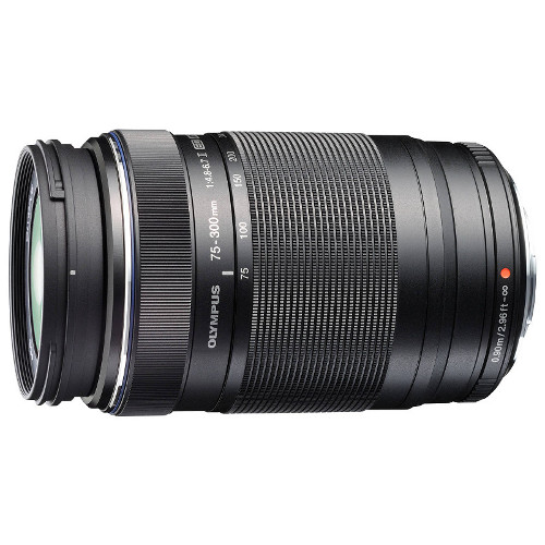 7 affordable lenses for Olympus users