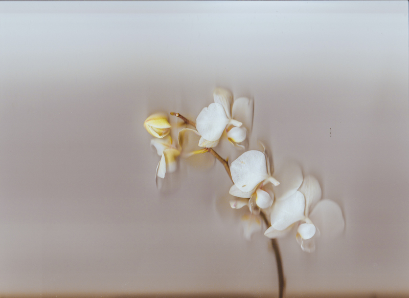 Scanning photography Scanning photography